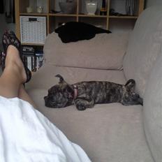 Blanding af racer tøzen