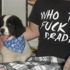 Landseer Borgmosegaards Wasabi 