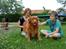 Nova scotia duck tolling retriever Andy - det er godt at blive nusset(: