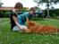 Nova scotia duck tolling retriever Andy - han gir pote (han kan faktisk god;P)