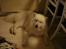 Samojedhund Joey