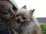 Pomeranian Gizmo * min søsters* - for lige et kys af min ejer dejligt :*