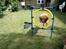 Nova scotia duck tolling retriever charlie - 6)min lille prins Charls<33