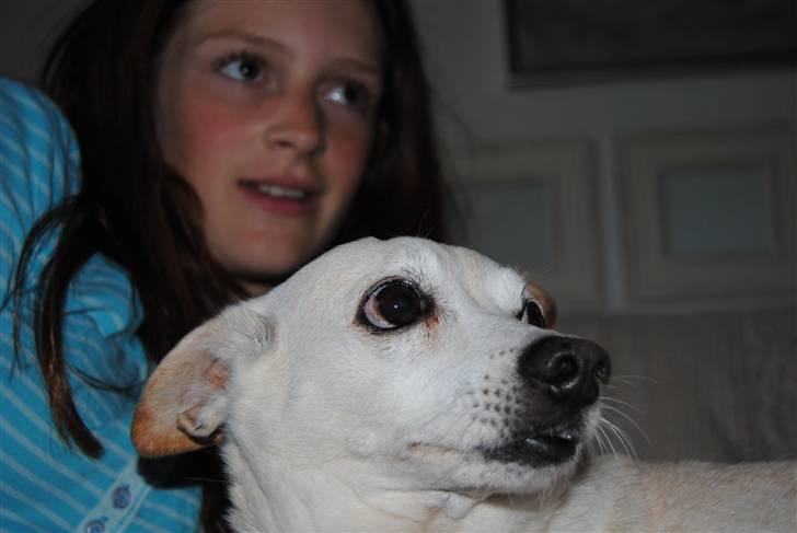 Blanding af racer Anton - 1* Look the same way(: billede 1