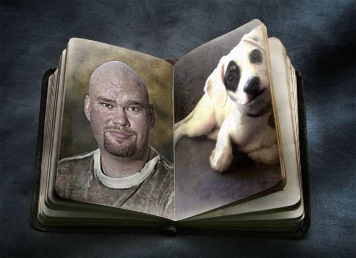 Dansk svensk gaardhund Holger billede 14