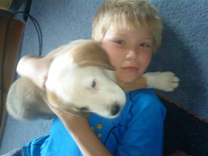 Blanding af racer Emmelie billede 3