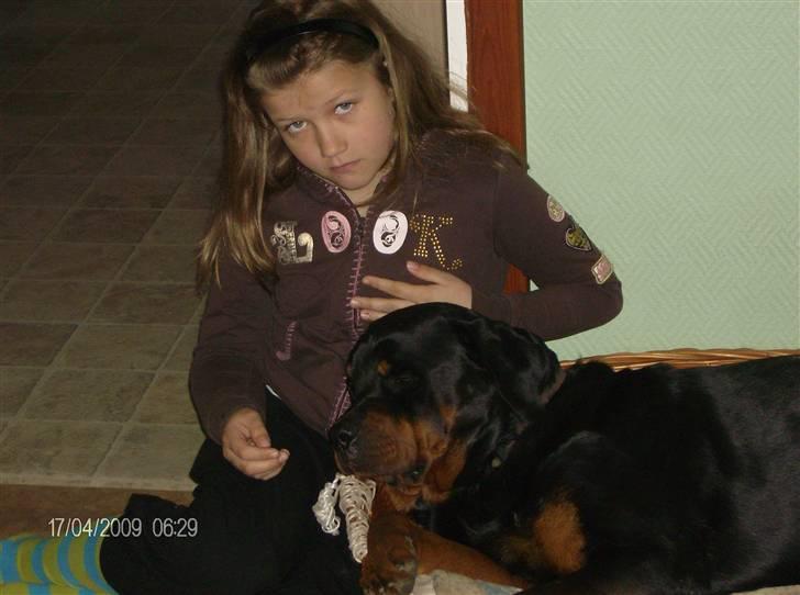 Rottweiler Tyson - Her er et billede med mig og ham inden han skulle aflives "Snaver dig billede 7