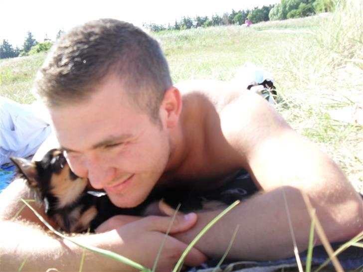 Chihuahua Keyzer billede 7