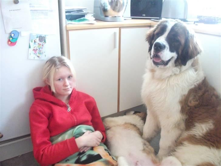 Blanding af racer balou  *død* - "see mig og tulle sidder og hygger, efter en omgang ude i snen, haha og jeg vandt som altid!" siger balou :D<3 billede 11