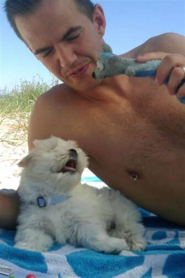 Blanding af racer Mikkel - Det er MIN mus !! ;D billede 16