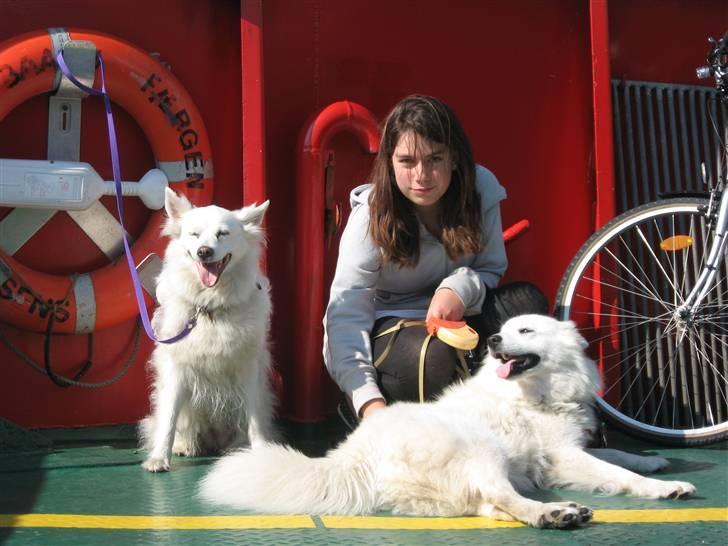 Blanding af racer Zofi billede 16