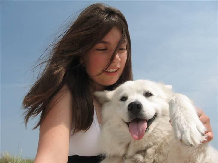 Blanding af racer Zofi billede 18