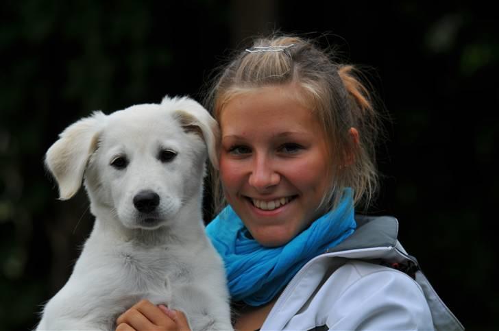 Blanding af racer Liva - Lige kommet hjem fra langeland og så kan man intet andet end af smile over sin dejlige hund :* billede 16