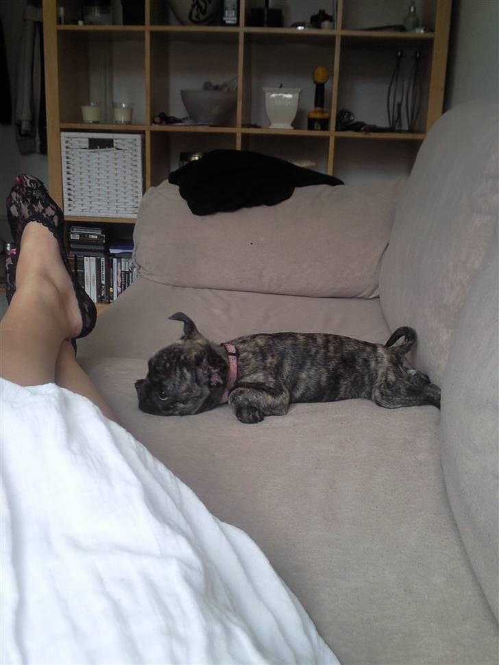 Blanding af racer tøzen - vidunderlige Prinsesse<3 billede 3