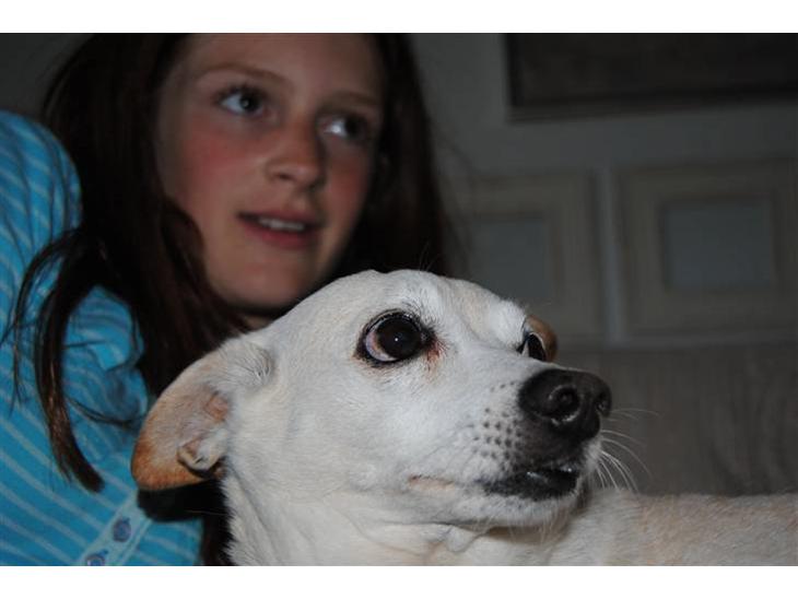 {{currentPhoto.altText}} billede {{currentPhoto.number}}