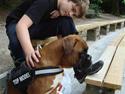 Boxer Roma
