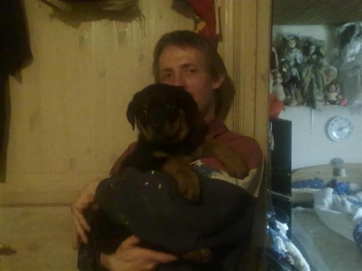 Rottweiler bamse - så pænt han sidder ved mig. han var en lille prob i starten billede 6