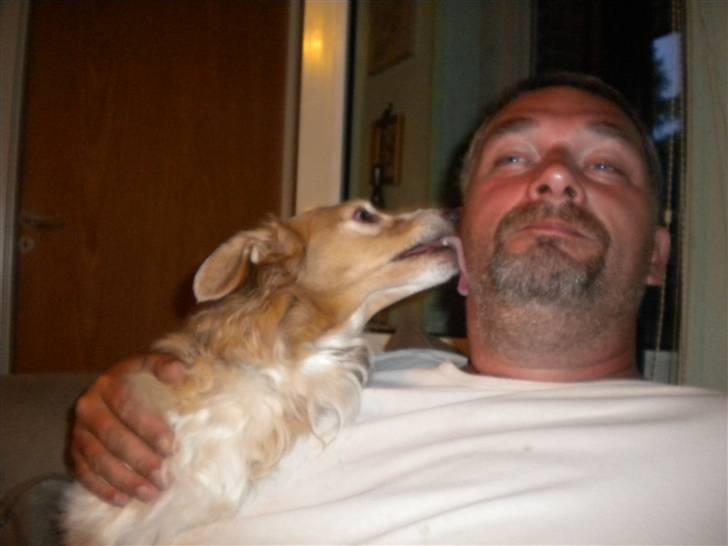 Blanding af racer gismo billede 13