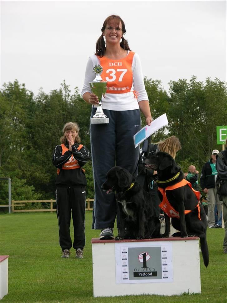 Blanding af racer Layney - Danmarksmester 2005 billede 3
