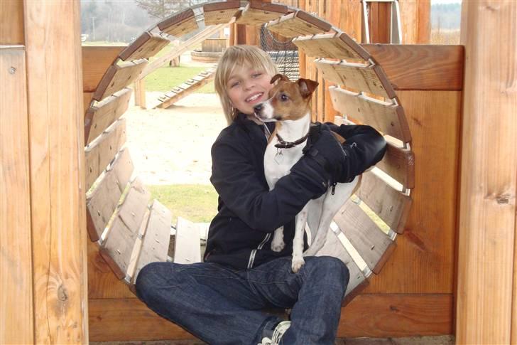 Dansk svensk gaardhund Felix - ca 1½ år gammel, sammen med min lillebror på legeplads billede 14