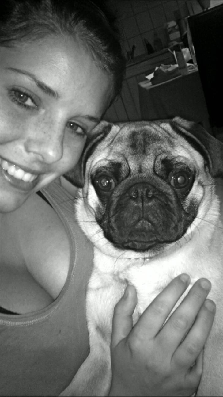 Mops Uffe - Mig og Uffe <3 billede 4