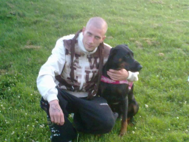 Dobermann Tøsen billede 9