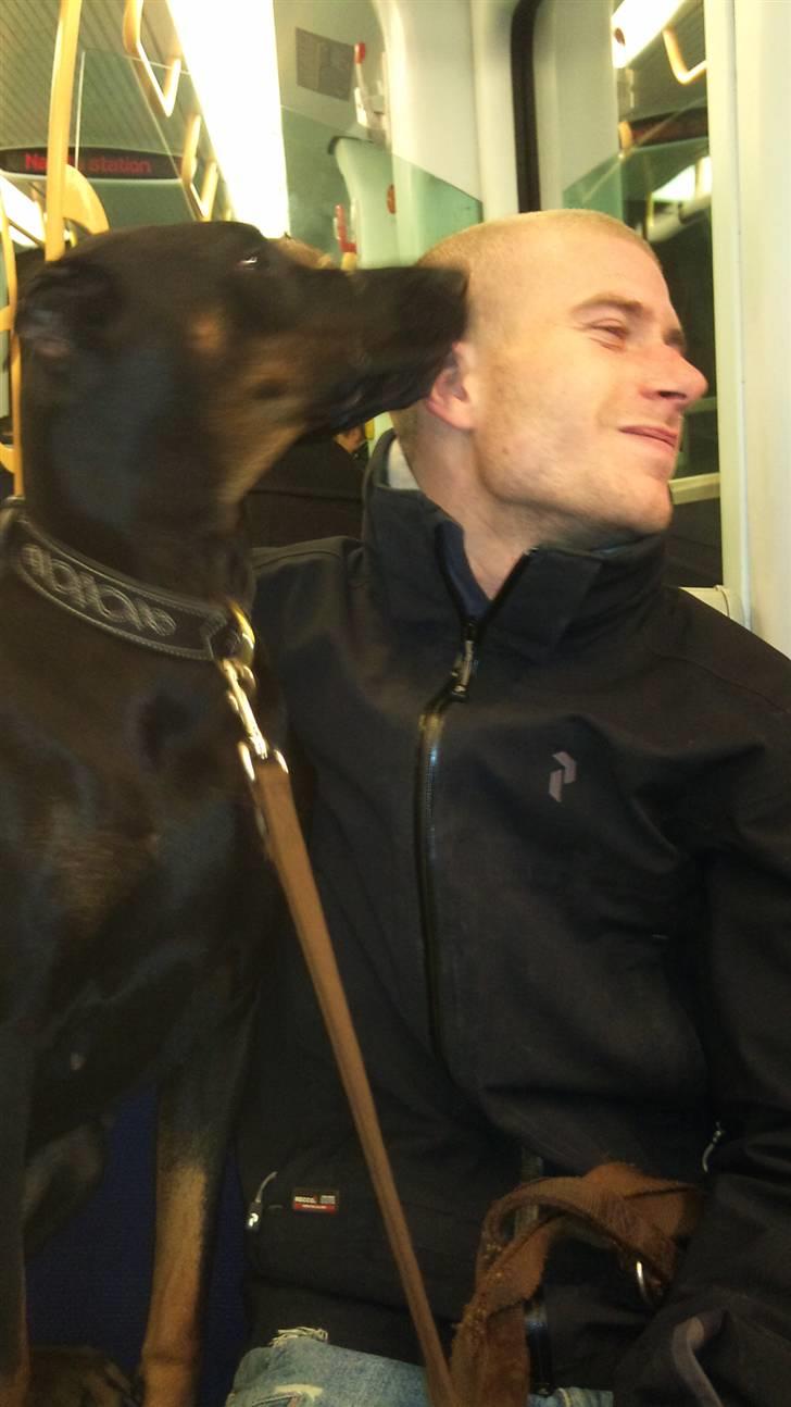 Dobermann Tøsen - Far får kys <3 billede 20