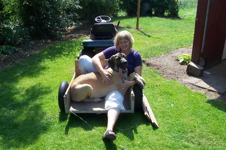 Blanding af racer balder - køretur i vogn efter havetraktor , hyggeligt når mor er med billede 14