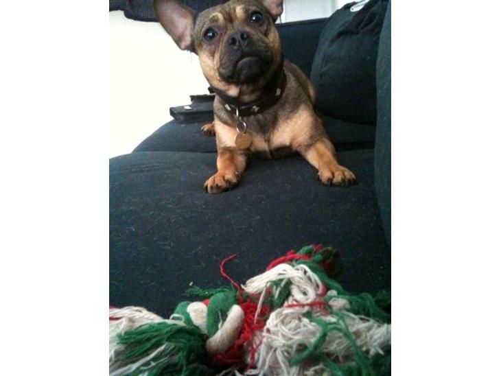 {{currentPhoto.altText}} billede {{currentPhoto.number}}