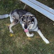 Blanding af racer king