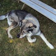 Blanding af racer king