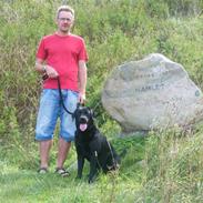 Labrador retriever Pan