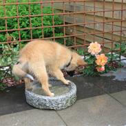 Blanding af racer Balou