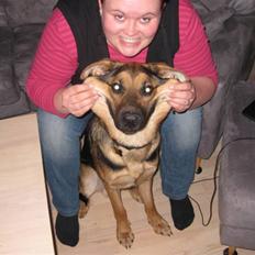 Blanding af racer Balou