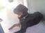 Rottweiler Buller