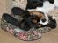 Cavalier king charles spaniel Tilde - Åååårh manner det er fedt at sove med hovedet nede i mors sko