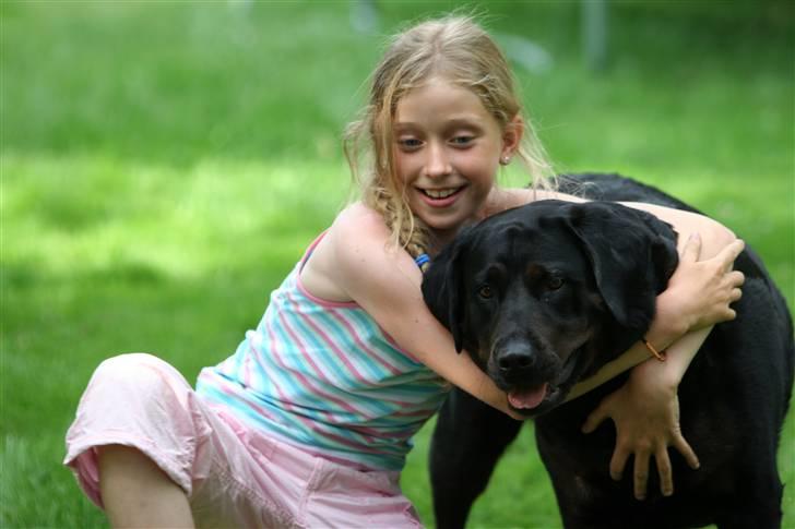 Blanding af racer Tulle billede 3