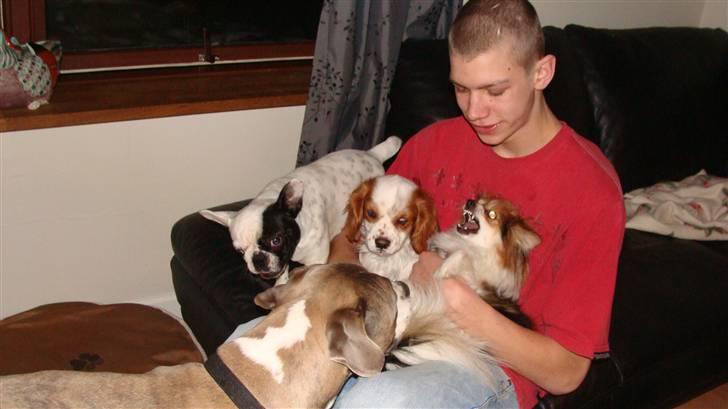 Blanding af racer Kento billede 10