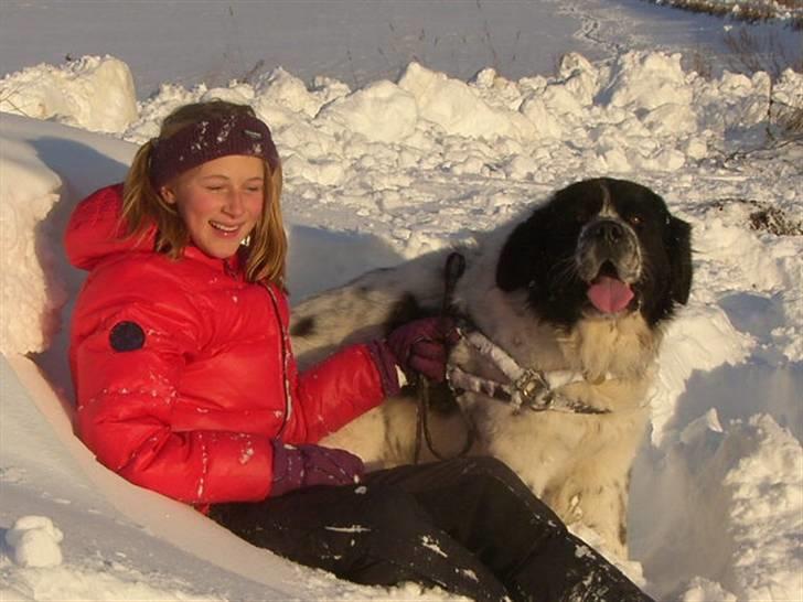 Blanding af racer Easy (Bassen!) - *NYT* Aaah dejligt med en slapper efter en løbetur i snnen ;) billede 14