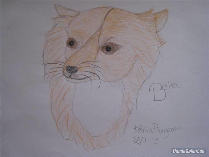 Chihuahua Bella - Bella, tegnet af Katrine P :) billede 15