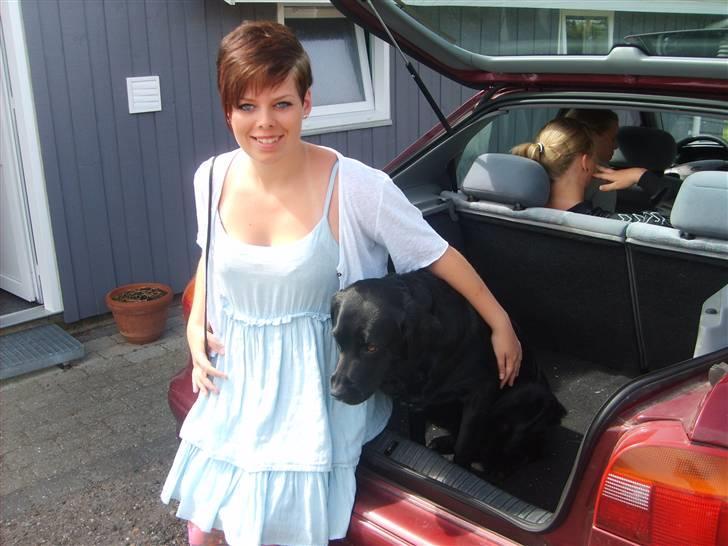 Blanding af racer Fie billede 11