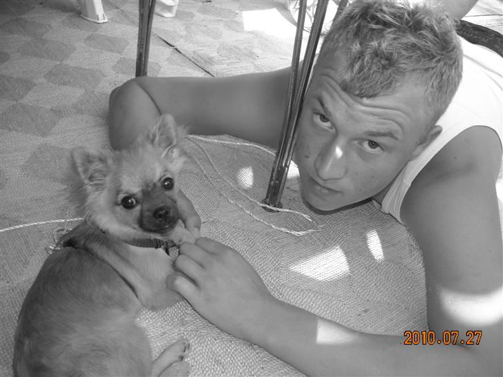 Blanding af racer Walter - Walter og far på Falster i sommerhus :-) billede 14