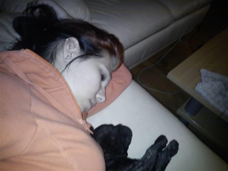 Fransk bulldog Kesi Kjeld - Tager en lille lur på sofaen med moar..  billede 17