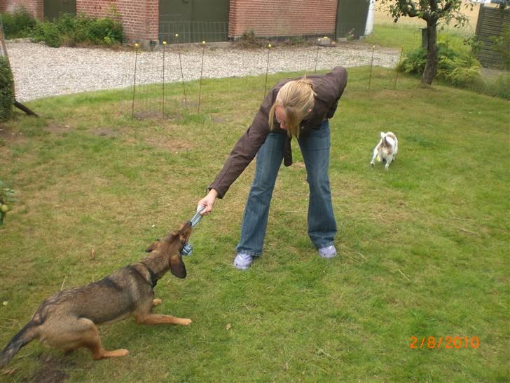 Blanding af racer Ida -  R.I.P <3 <3 <3 <3 billede 4