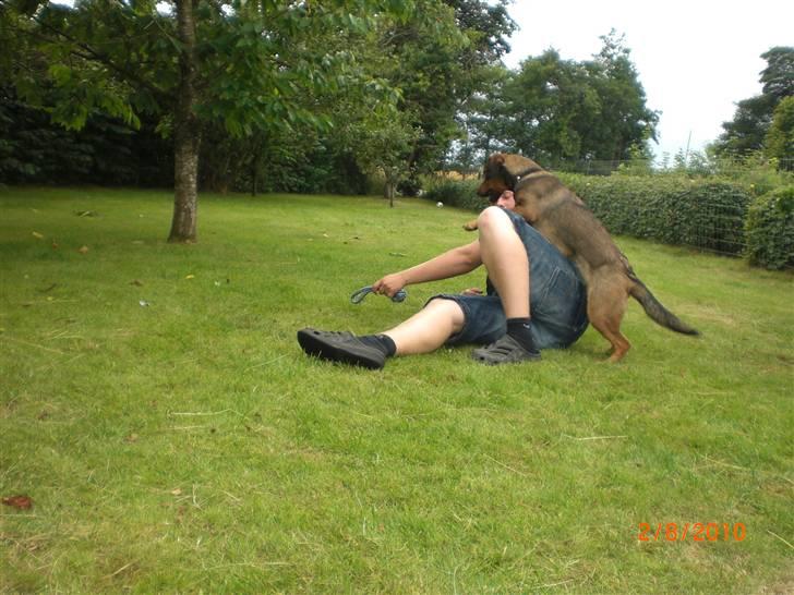 Blanding af racer Ida -  R.I.P <3 <3 <3 <3 billede 5