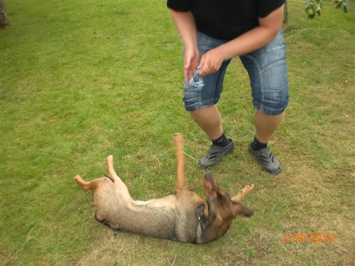 Blanding af racer Ida -  R.I.P <3 <3 <3 <3 billede 7