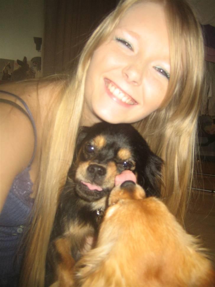 Blanding af racer Lilo - 2/8-2010 Fjollebillede Kiyoh, Lilo og mor! :) billede 14