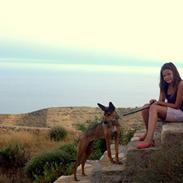 Blanding af racer Cica