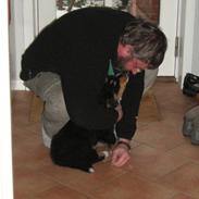 Berner sennenhund Amazing Tiklo's Amy