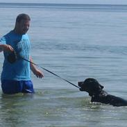 Rottweiler Zakoda Enzo